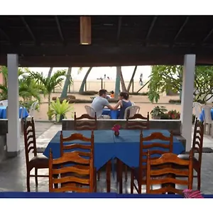 https://star-beach-hotel-negombo.negombohotels.net